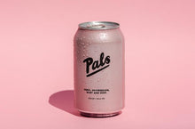Load image into Gallery viewer, Pals Vodka Watermelon Mint &amp; Soda 10 packs