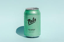 Load image into Gallery viewer, Pals Vodka Lime &amp; Soda 10 packs