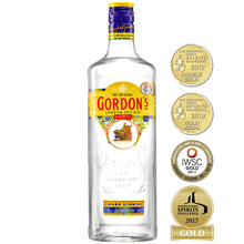 Load image into Gallery viewer, Gordons Gin 1L